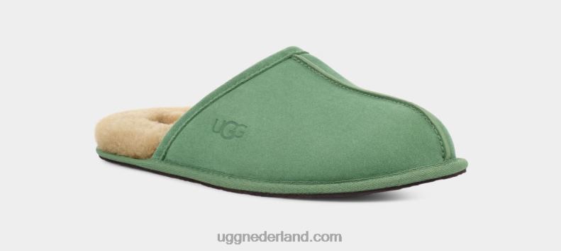 Heren ijsplant UGG schuren 686ZP1551
