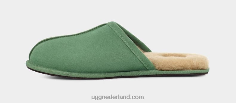 Heren ijsplant UGG schuren 686ZP1551