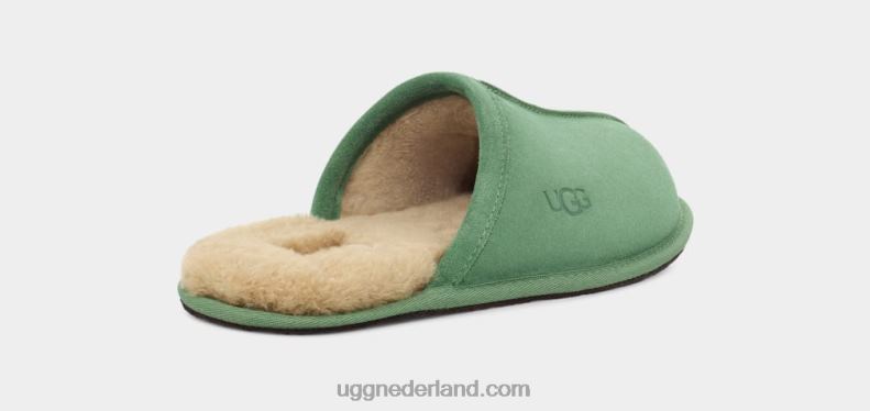 Heren ijsplant UGG schuren 686ZP1551
