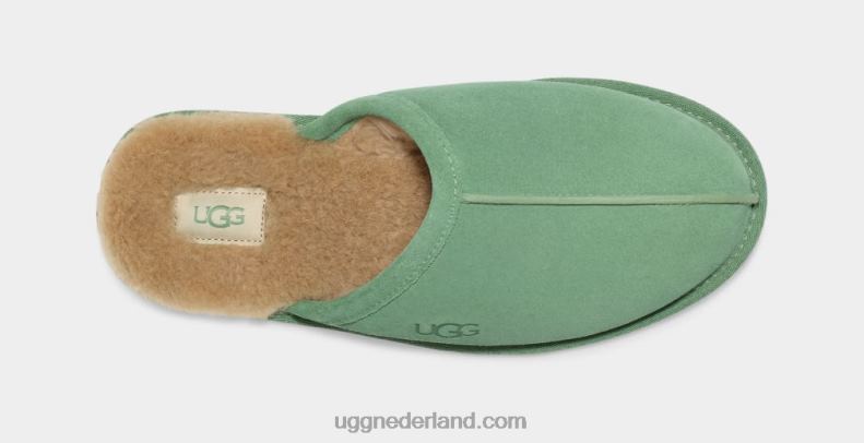 Heren ijsplant UGG schuren 686ZP1551