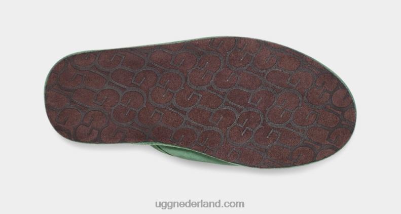 Heren ijsplant UGG schuren 686ZP1551