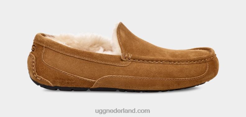 Heren kastanje UGG ascot pantoffel 686ZP1421