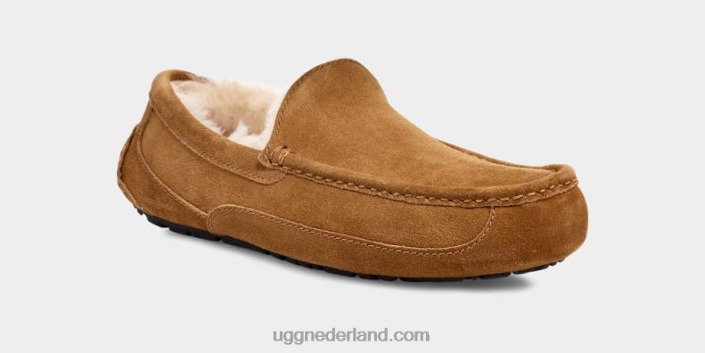 Heren kastanje UGG ascot pantoffel 686ZP1421