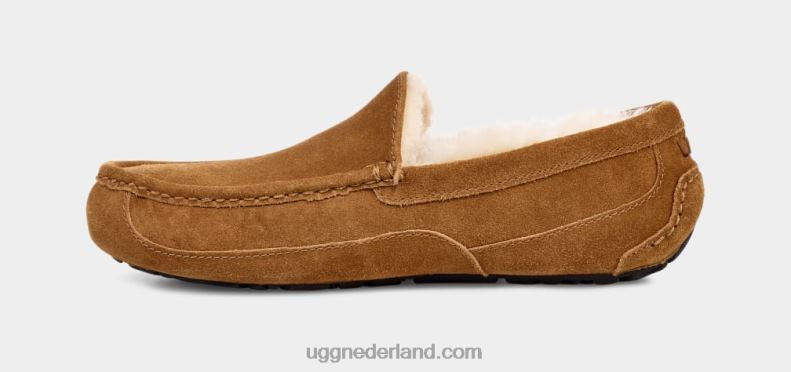 Heren kastanje UGG ascot pantoffel 686ZP1421