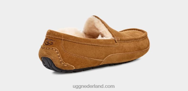 Heren kastanje UGG ascot pantoffel 686ZP1421