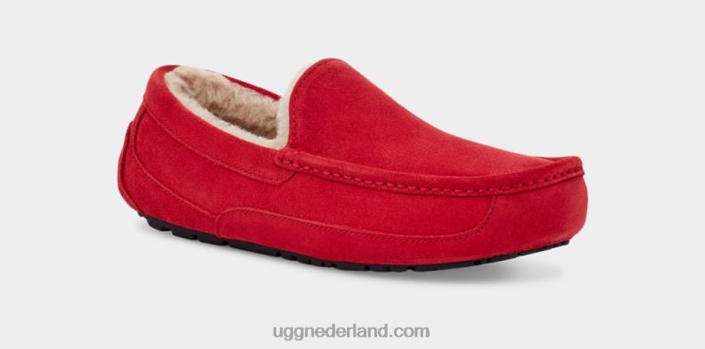 Heren samba rood UGG ascot pantoffel 686ZP1653
