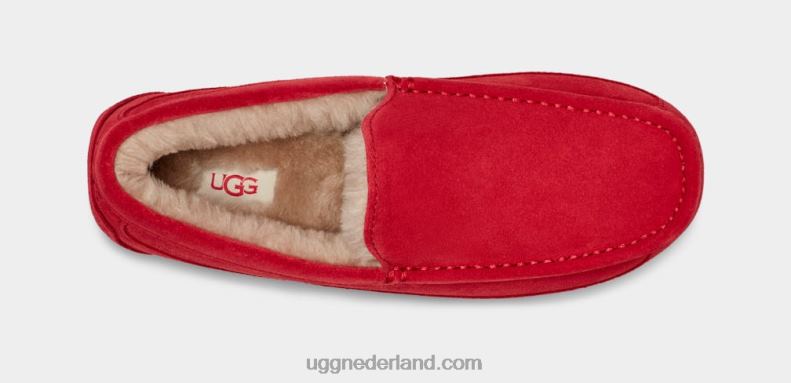 Heren samba rood UGG ascot pantoffel 686ZP1653
