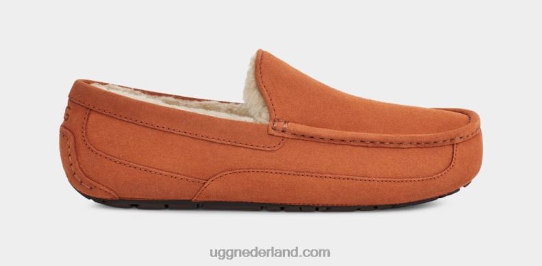 Heren timmerhout UGG ascot pantoffel 686ZP1651