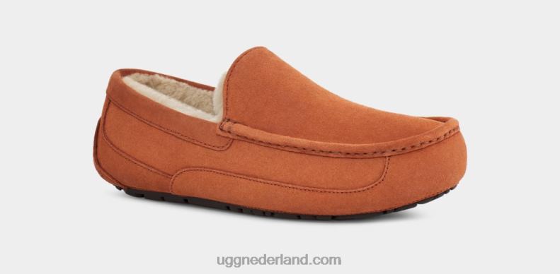 Heren timmerhout UGG ascot pantoffel 686ZP1651