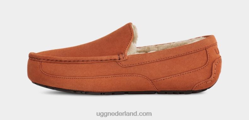 Heren timmerhout UGG ascot pantoffel 686ZP1651