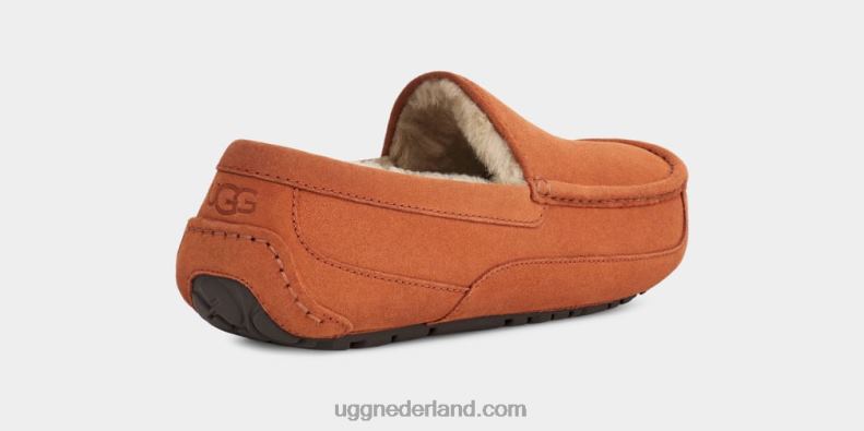 Heren timmerhout UGG ascot pantoffel 686ZP1651