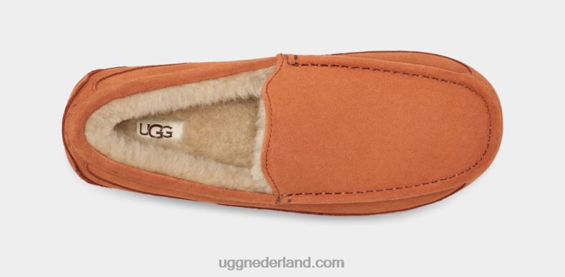 Heren timmerhout UGG ascot pantoffel 686ZP1651