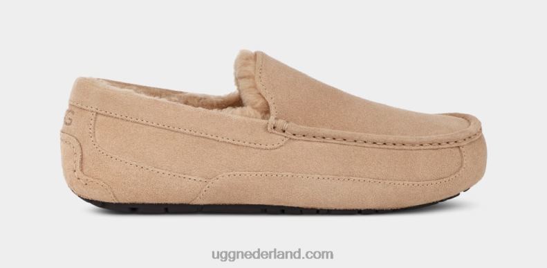 Heren zand UGG ascot pantoffel 686ZP1423