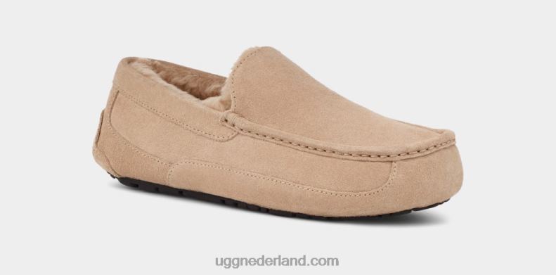 Heren zand UGG ascot pantoffel 686ZP1423