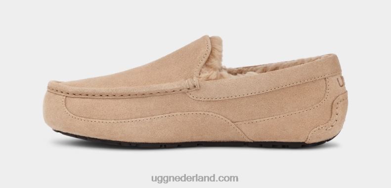 Heren zand UGG ascot pantoffel 686ZP1423