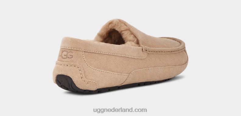 Heren zand UGG ascot pantoffel 686ZP1423