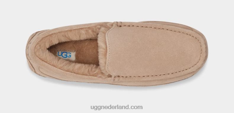 Heren zand UGG ascot pantoffel 686ZP1423
