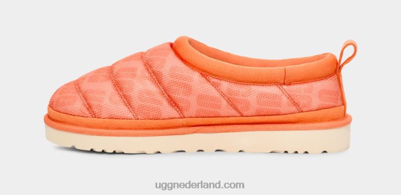 Heren zoete perzik UGG tasman lta 686ZP1434