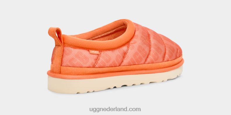 Heren zoete perzik UGG tasman lta 686ZP1434