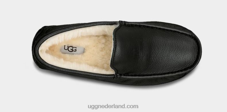 Heren zwart UGG ascot leren pantoffel 686ZP1539