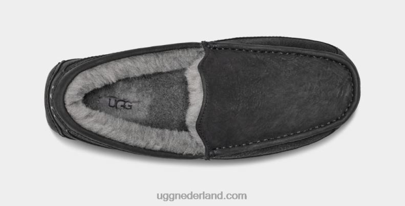 Heren zwart UGG ascot mat leer 686ZP1503