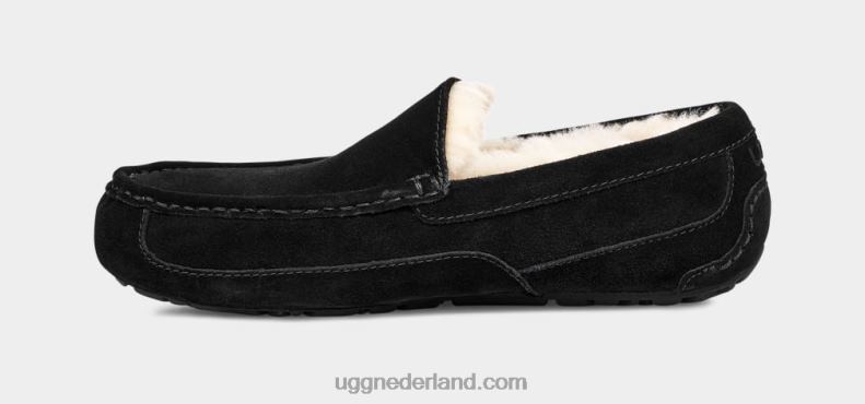 Heren zwart UGG ascot pantoffel 686ZP1422