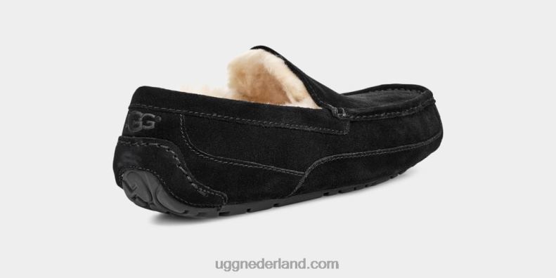 Heren zwart UGG ascot pantoffel 686ZP1422
