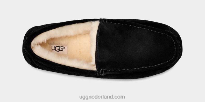 Heren zwart UGG ascot pantoffel 686ZP1422