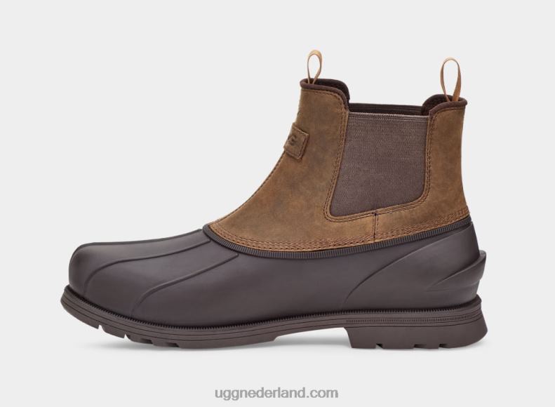 Heren kastanje UGG Gatson Chelsea 686ZP1520
