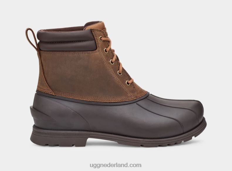 Heren kastanje UGG Gatson midden 686ZP2296