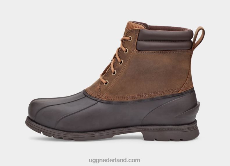 Heren kastanje UGG Gatson midden 686ZP2296