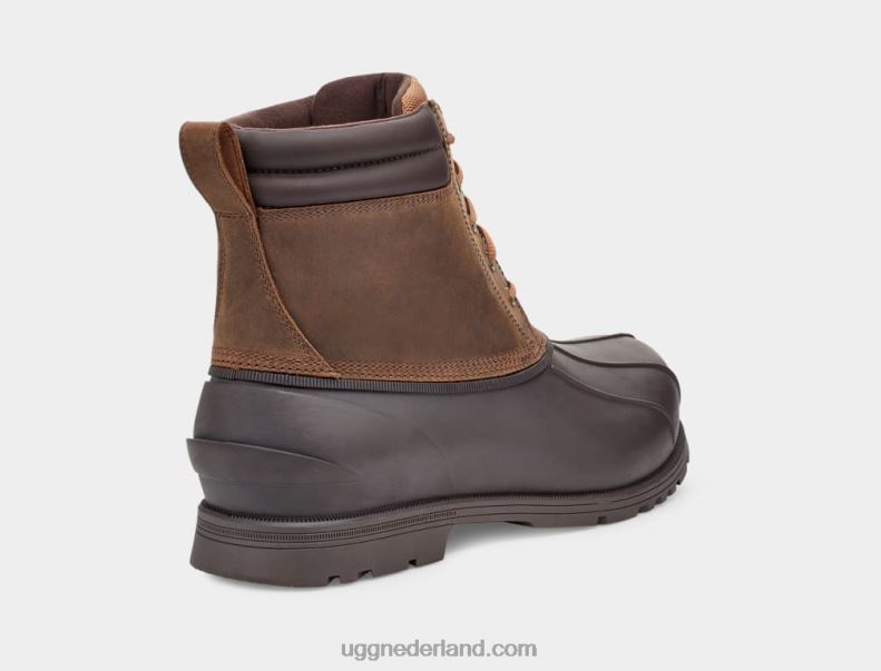 Heren kastanje UGG Gatson midden 686ZP2296