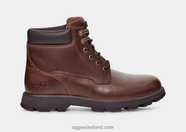 Heren kastanje leer UGG stenton 686ZP1536