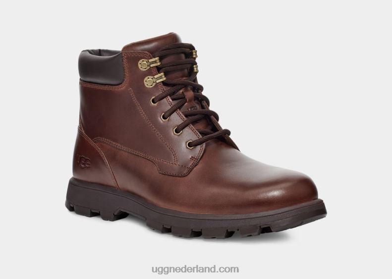 Heren kastanje leer UGG stenton 686ZP1536