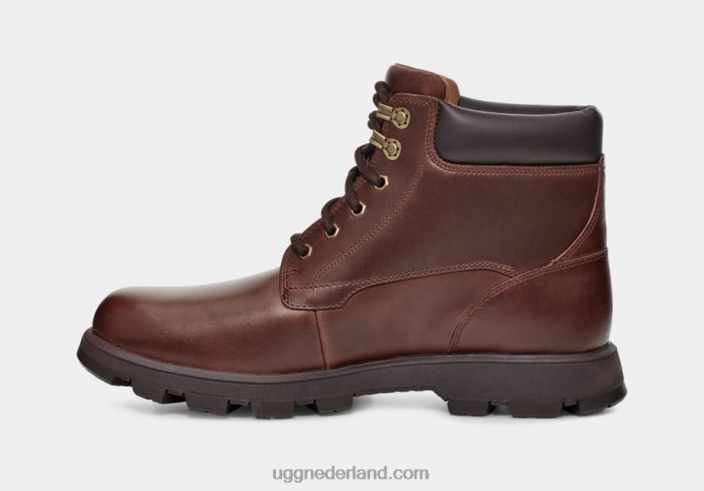 Heren kastanje leer UGG stenton 686ZP1536