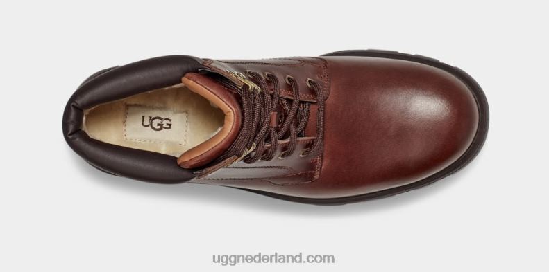 Heren kastanje leer UGG stenton 686ZP1536