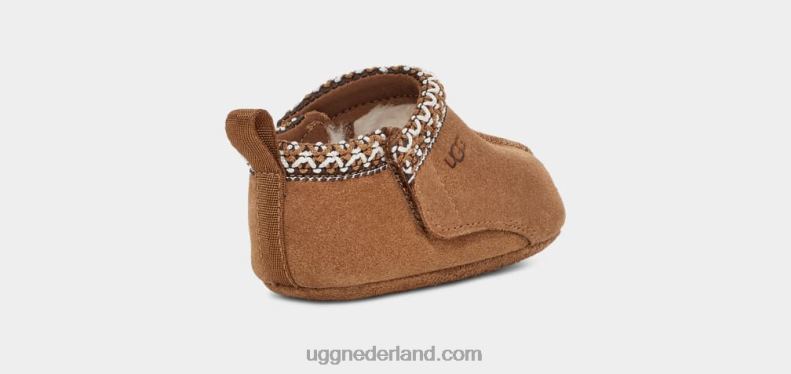 Baby kastanje UGG tasman 686ZP2022