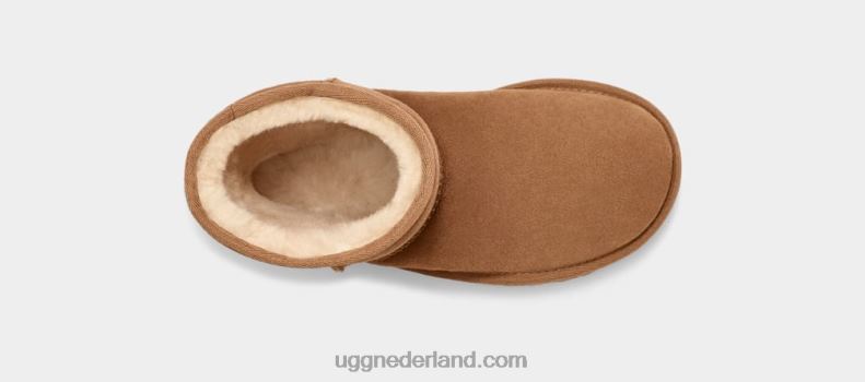 kinderen kastanje UGG klassieke ii-laars 686ZP1690