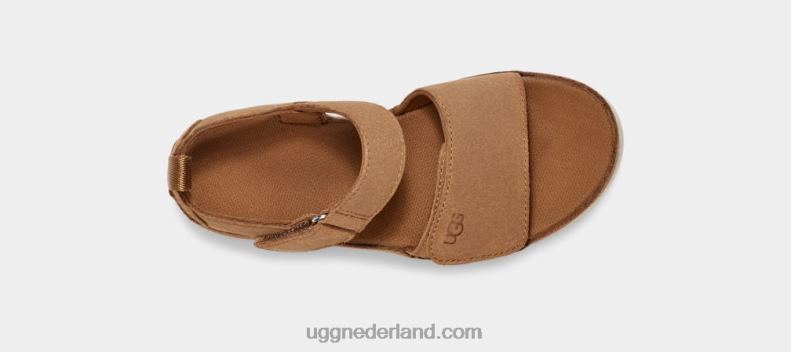 kinderen kastanje UGG gouden Ster 686ZP1703