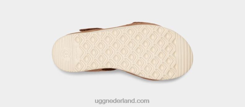 kinderen kastanje UGG gouden Ster 686ZP1703