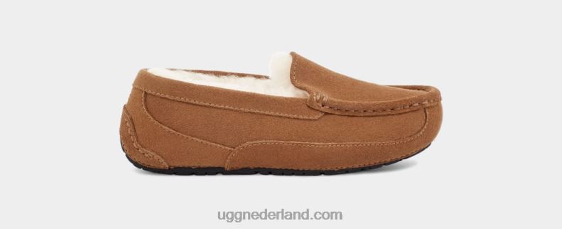 kinderen kastanje suède UGG ascot 686ZP2325