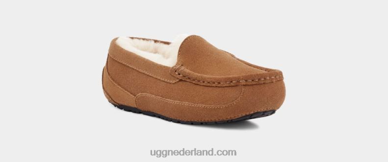 kinderen kastanje suède UGG ascot 686ZP2325