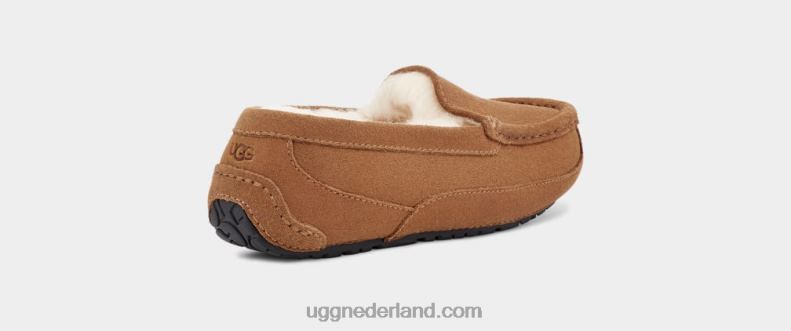 kinderen kastanje suède UGG ascot 686ZP2325