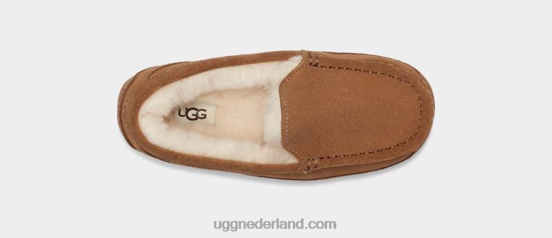 kinderen kastanje suède UGG ascot 686ZP2325