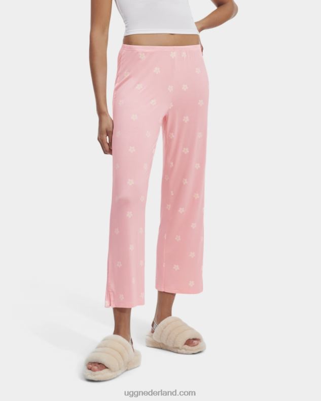 vrouwen lotus madeliefje UGG addi set ii 686ZP981