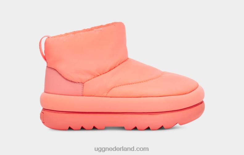 vrouwen Schatje UGG klassieke maxi-mini 686ZP626
