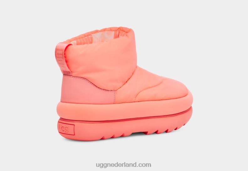 vrouwen Schatje UGG klassieke maxi-mini 686ZP626