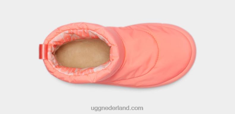 vrouwen Schatje UGG klassieke maxi-mini 686ZP626