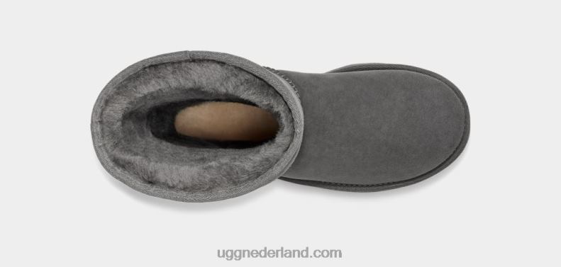 vrouwen grijs UGG klassieke hoge ii laars 686ZP565