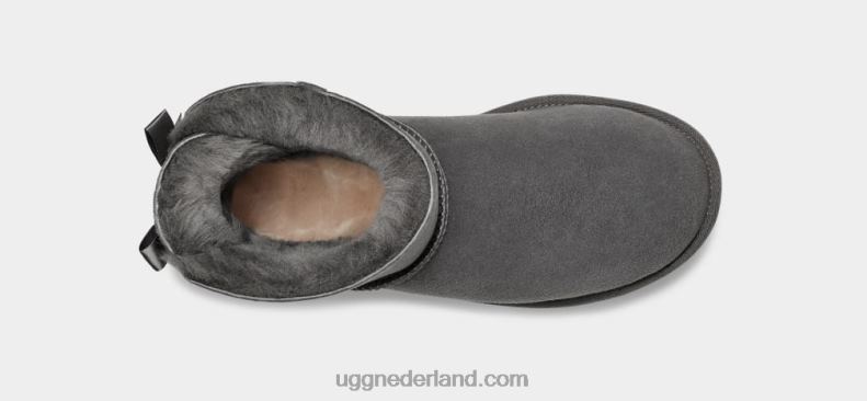vrouwen grijs UGG mini bailey bow ii laars 686ZP361